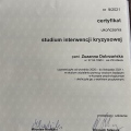 Powiększ obraz: certificate 9