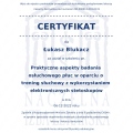 Powiększ obraz: certificate 231
