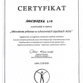 Powiększ obraz: certificate 19