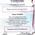 Powiększ obraz: certificate 26