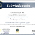 Powiększ obraz: certificate 12