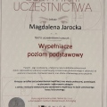 Powiększ obraz: certificate 15