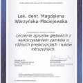 Powiększ obraz: certificate 10