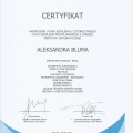 Powiększ obraz: certificate 1