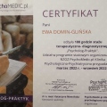 Powiększ obraz: certificate 2