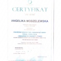 Powiększ obraz: certificate 12