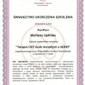 Powiększ obraz: certificate 1