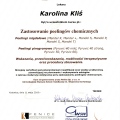 Powiększ obraz: certificate 33