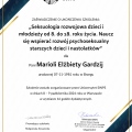Powiększ obraz: certificate 3