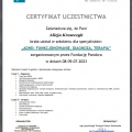 Powiększ obraz: certificate 11