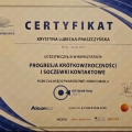 Powiększ obraz: certificate 8