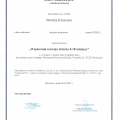 Powiększ obraz: certificate 2