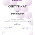 Powiększ obraz: certificate 43