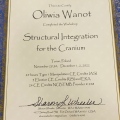Powiększ obraz: certificate 46