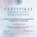 Powiększ obraz: certificate 3