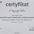 Powiększ obraz: certificate 20