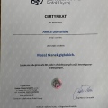 Powiększ obraz: certificate 1