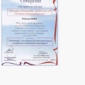 Powiększ obraz: certificate 13