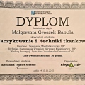 Powiększ obraz: certificate 2