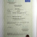 Powiększ obraz: certificate 16