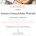 Powiększ obraz: certificate 7