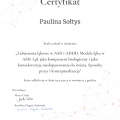 Powiększ obraz: certificate 8