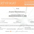 Powiększ obraz: certificate 14