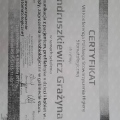 Powiększ obraz: certificate 1
