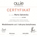 Powiększ obraz: certificate 1