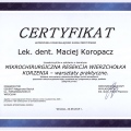 Powiększ obraz: certificate 4
