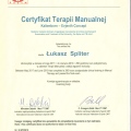 Powiększ obraz: certificate 8