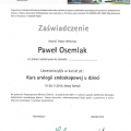 Powiększ obraz: certificate 1