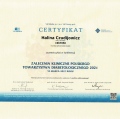 Powiększ obraz: certificate 8