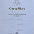 Powiększ obraz: certificate 9