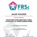 Powiększ obraz: certificate 3