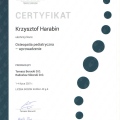 Powiększ obraz: certificate 6