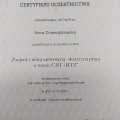 Powiększ obraz: certificate 3