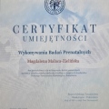 Powiększ obraz: certificate 8