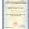 Powiększ obraz: certificate 9