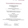 Powiększ obraz: certificate 61