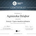 Powiększ obraz: certificate 9