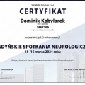 Powiększ obraz: certificate 7