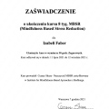 Powiększ obraz: certificate 3