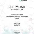 Powiększ obraz: certificate 6