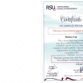 Powiększ obraz: certificate 13