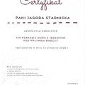 Powiększ obraz: certificate 4