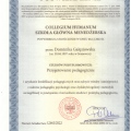 Powiększ obraz: certificate 6