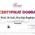 Powiększ obraz: certificate 1