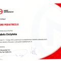 Powiększ obraz: certificate 2