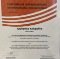 Powiększ obraz: certificate 6